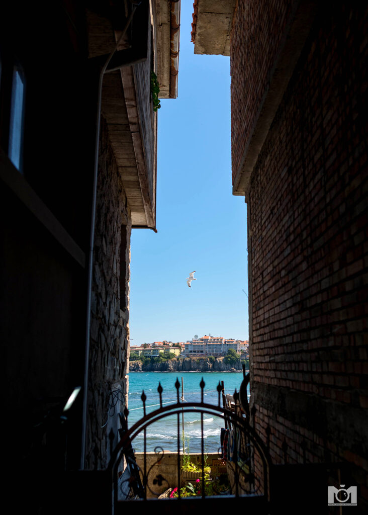 View between the houses