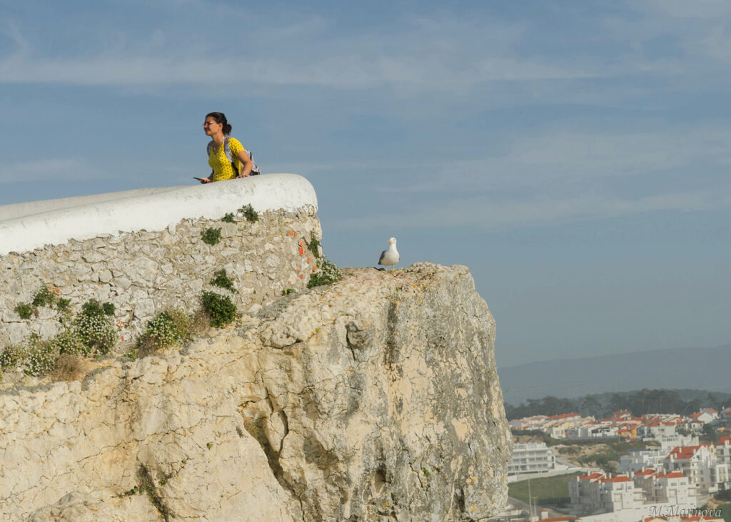 Memories from Portugal