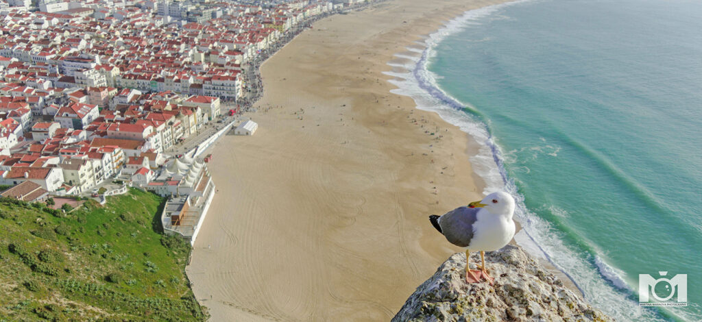 Memories from Portugal